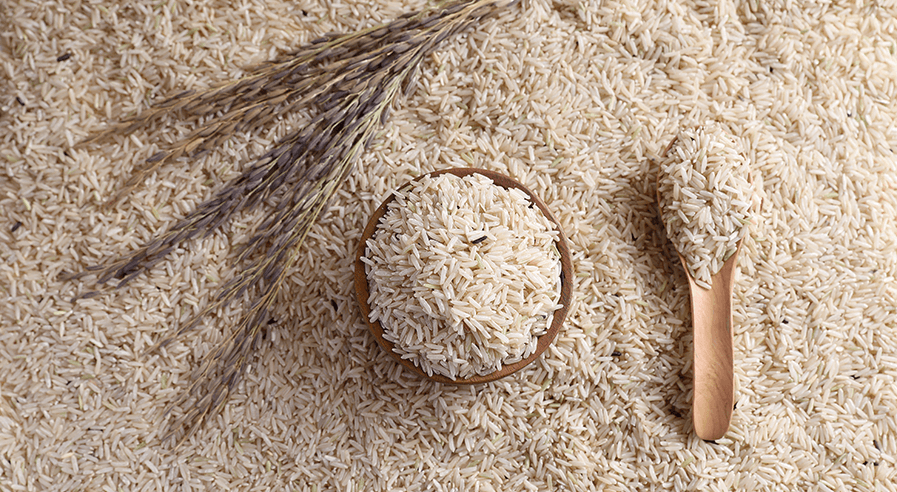 The vital role of rice farming
