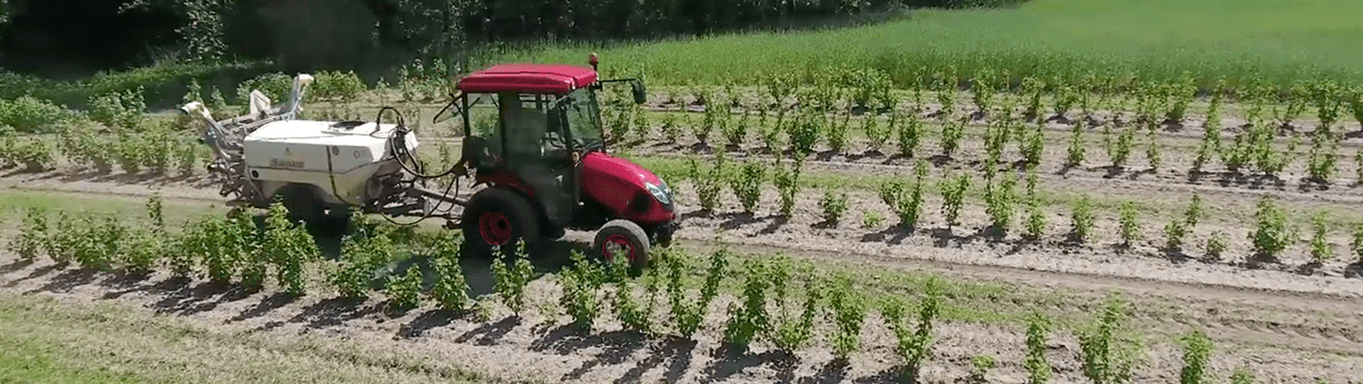 Arable Farming