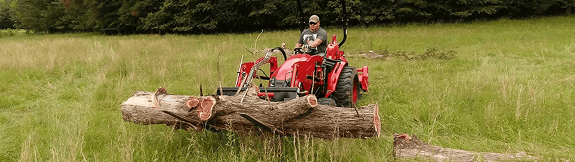 Land Clearing & Forestry